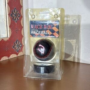 Vintage Dale Earnheart Race Day Official Baseball with Display Base